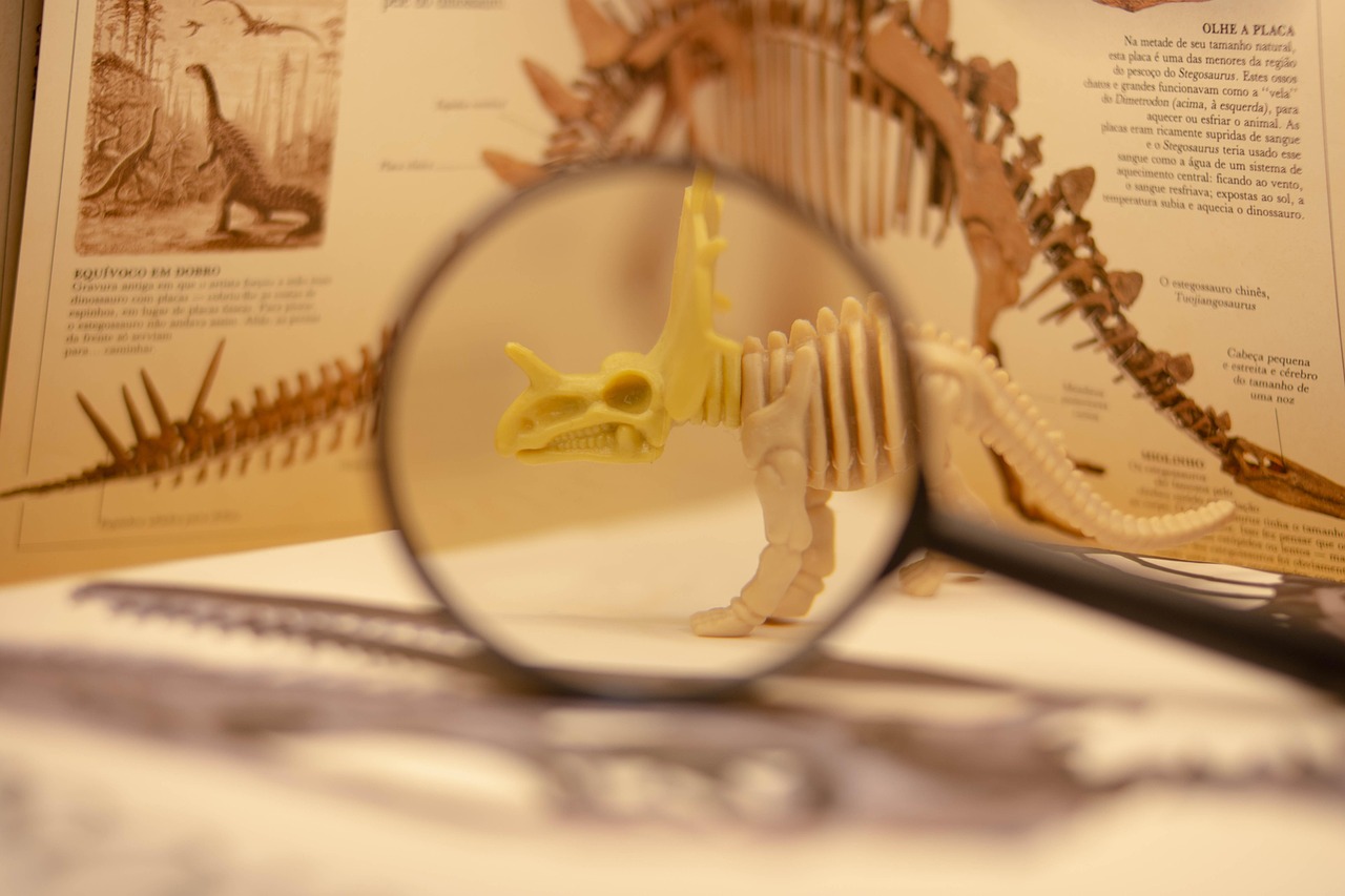 Neandertales y sapiens