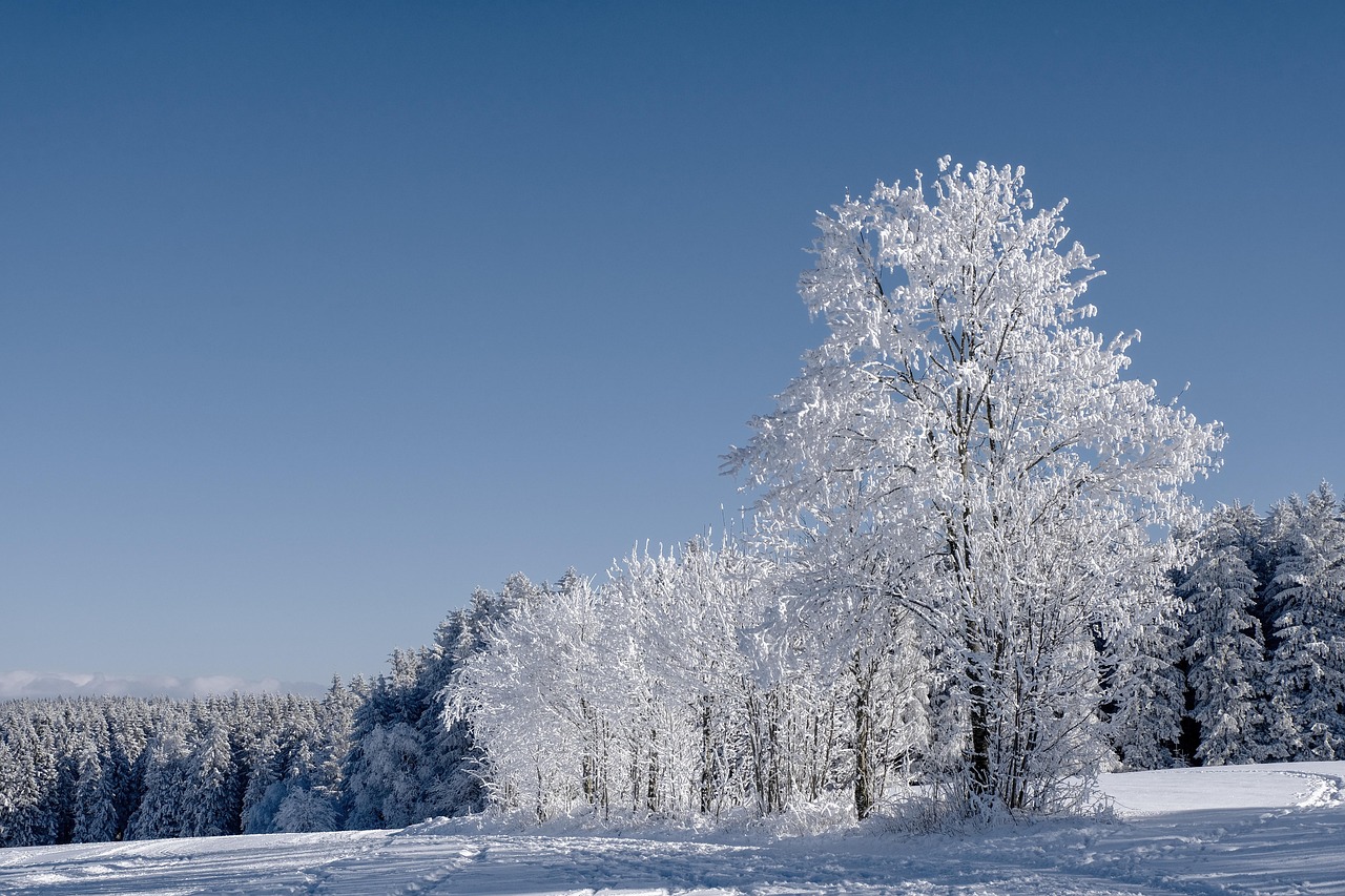 Froid polaire Argentine
