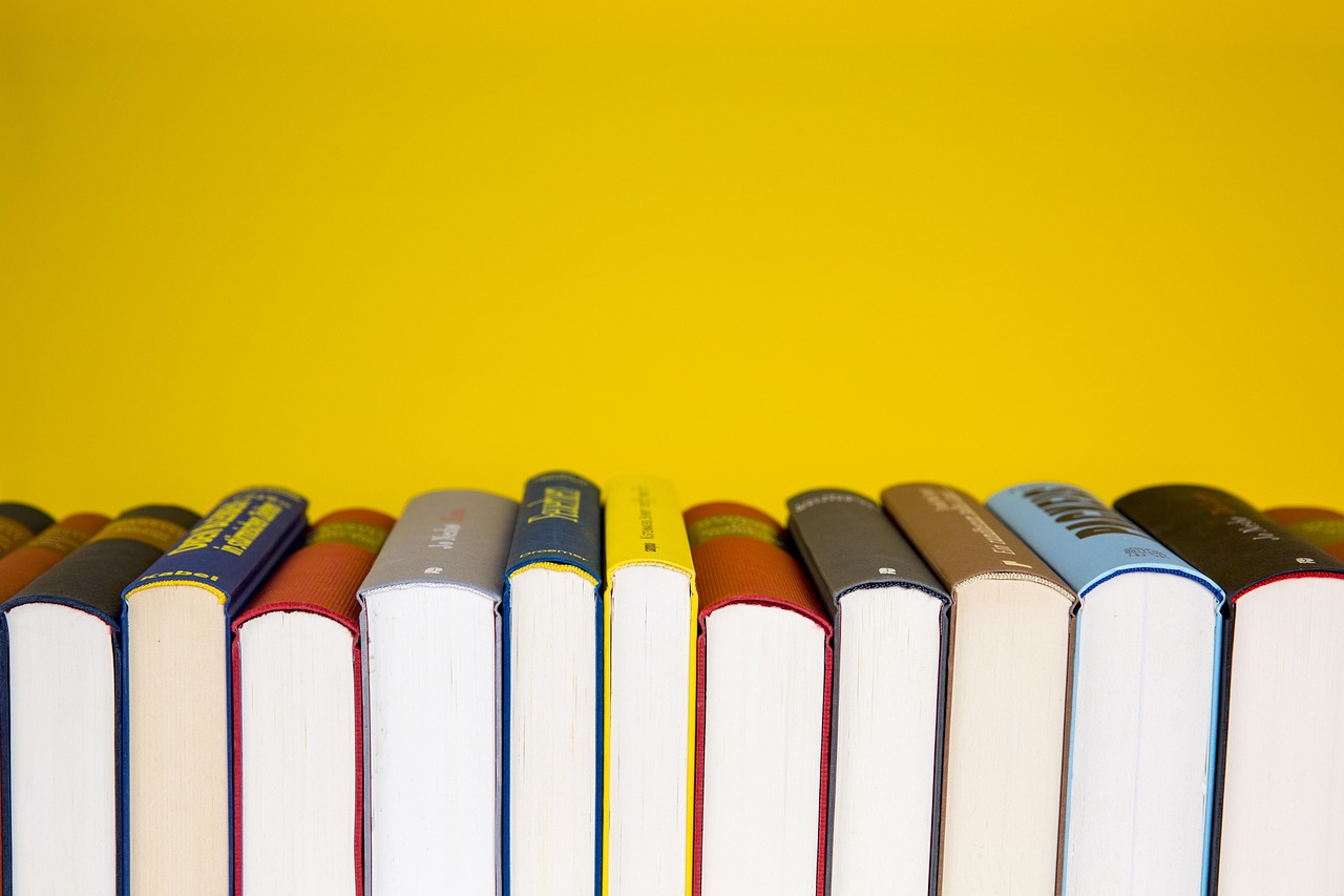 Infografía con libros escolares y documentos