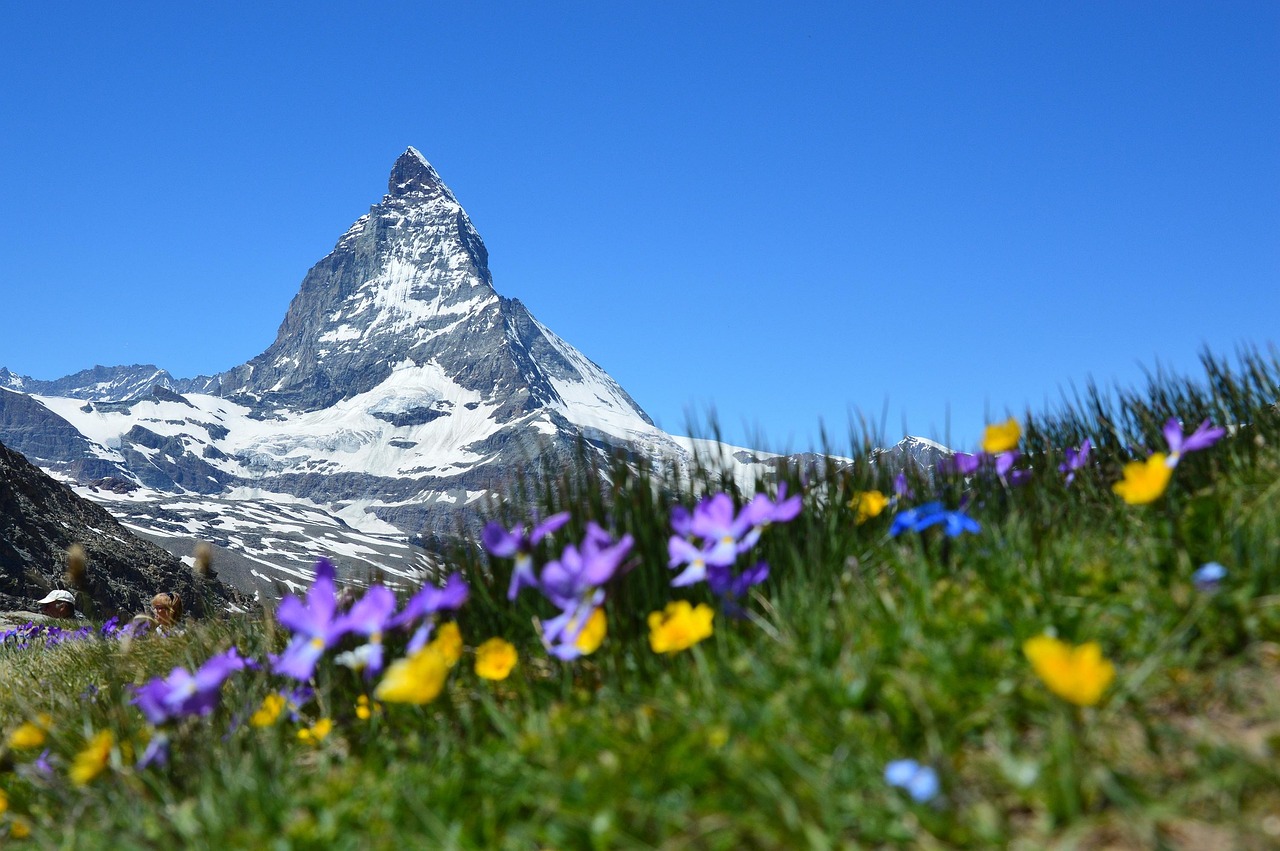 Suiza referéndum