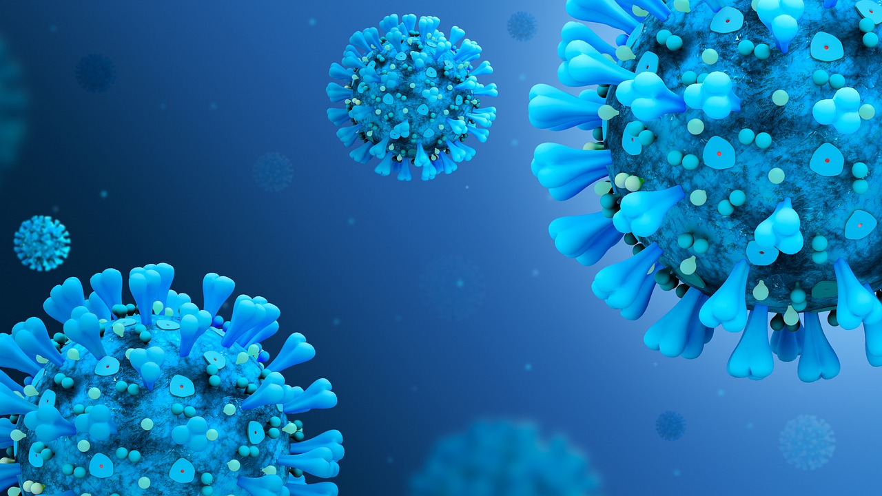 Bacterias modificadas contra tumores