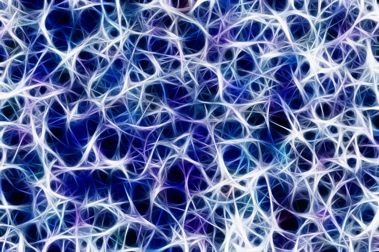 Insonnia Alzheimer