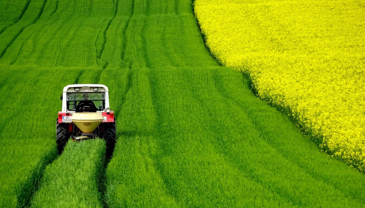 Campos de soja en Argentina