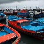Crisis en la industria pesquera: Temporada de langostino suspendida