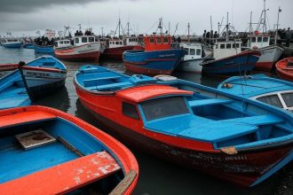 Crisis en la industria pesquera: Temporada de langostino suspendida